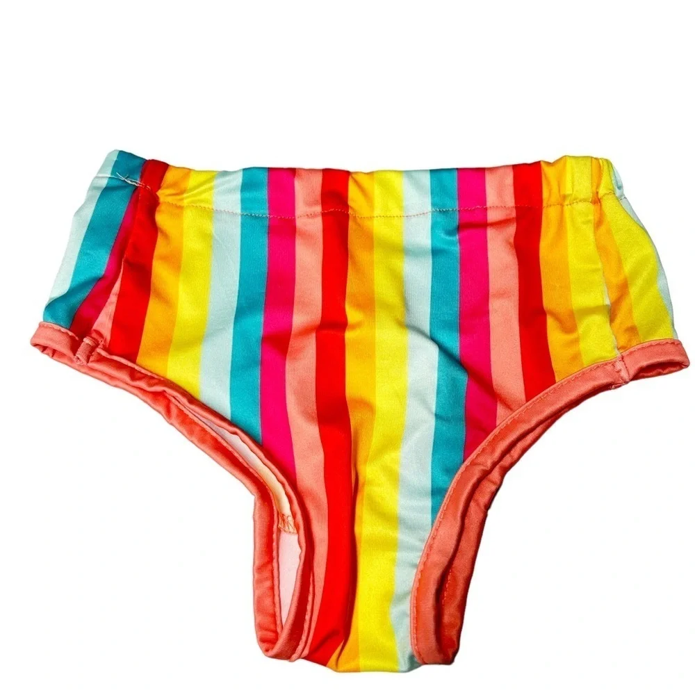 Adorable Dog 2-piece Rainbow Striped Dog Bikini Swimsuit Size Large